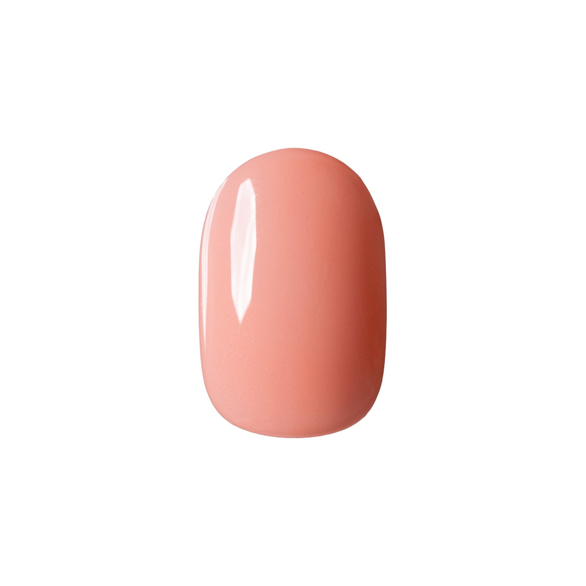 041MS