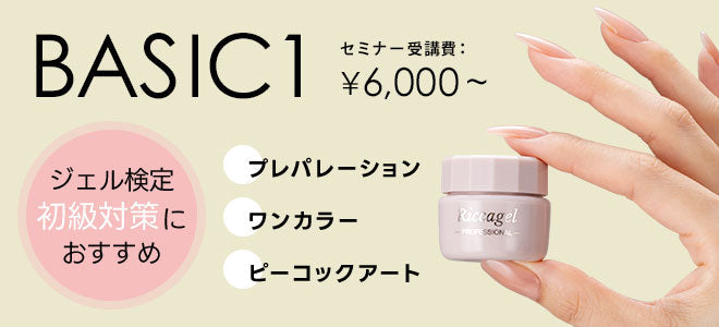 リッカジェル ベーシックセミナー テキスト BASIC1
